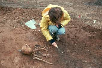Skeleton excavation