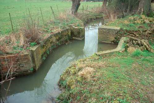 Sheep Wash 2